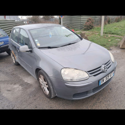 Volkswagen GOLF V (1K1) 1.9 tdi (2003-2008) 5 portes